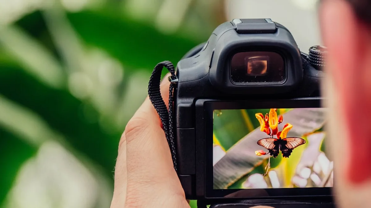 Se mettre à la photo : par où commencer sans se ruiner